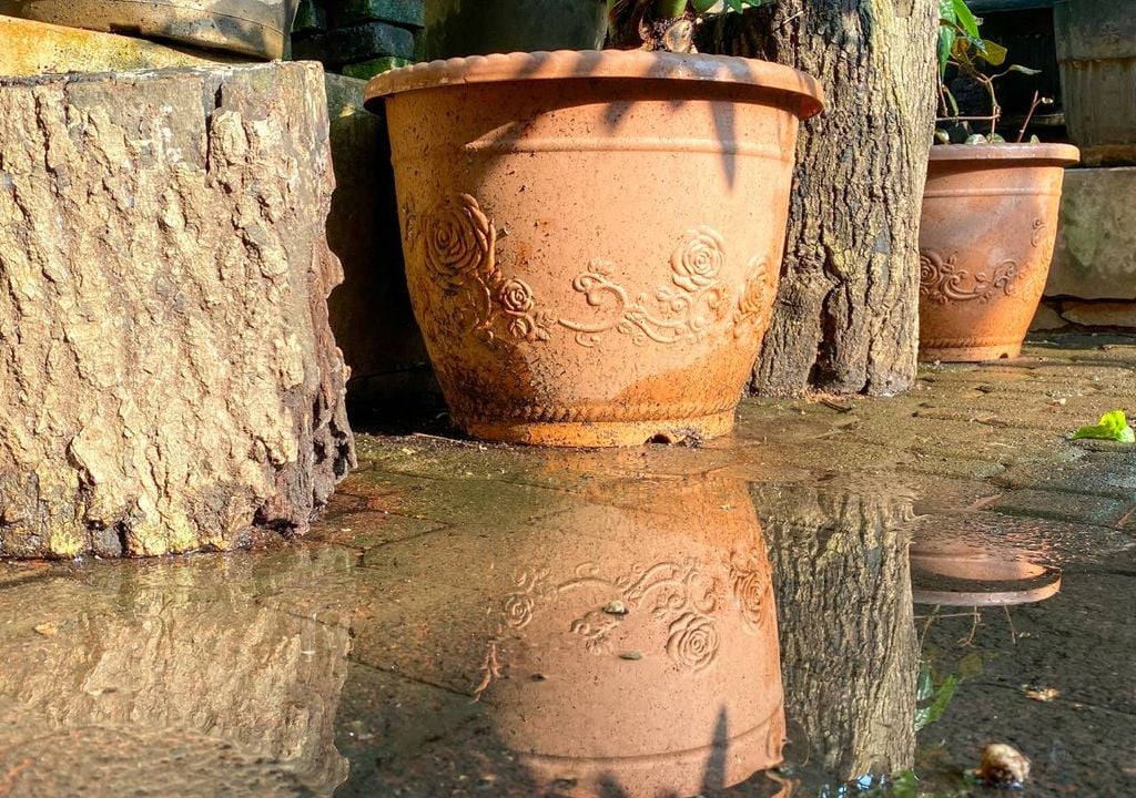 Que las macetas dispongan de un drenaje adecuado puede ser una ventaja ante episodios de lluvias copiosas.