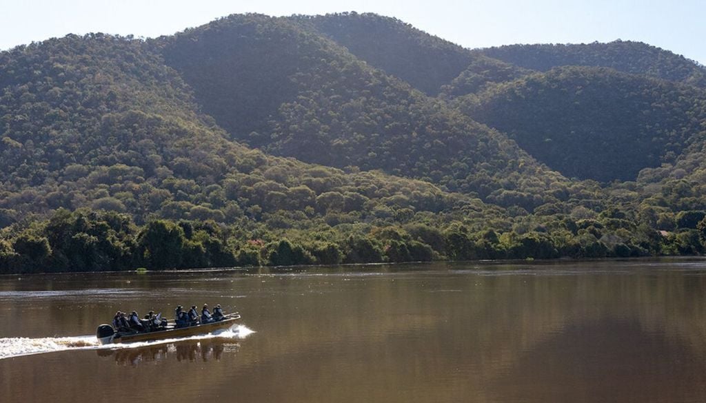 Del Pantanal a la Patagonia: 6 destinos para hacer un safari en América Latina Del Pantanal a la Patagonia: 6 destinos para hacer un safari en América Latina
