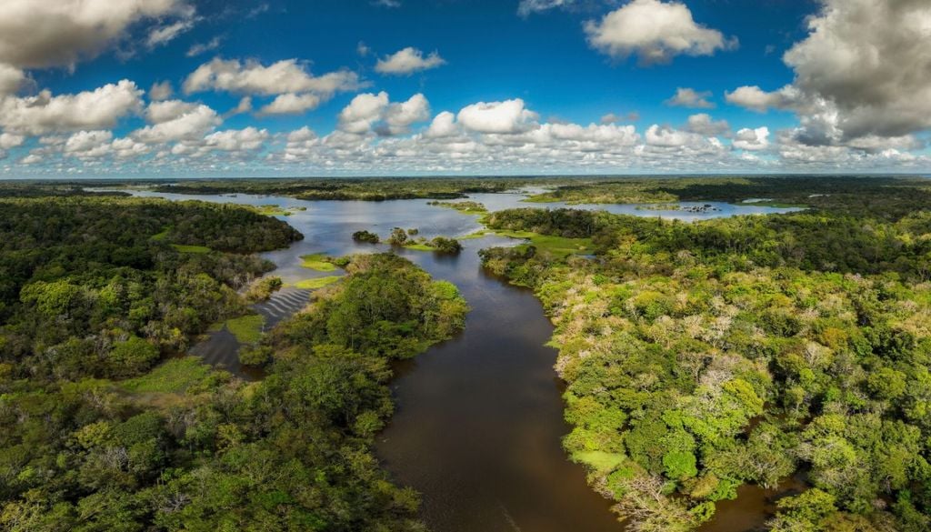Amazonas Amazonas