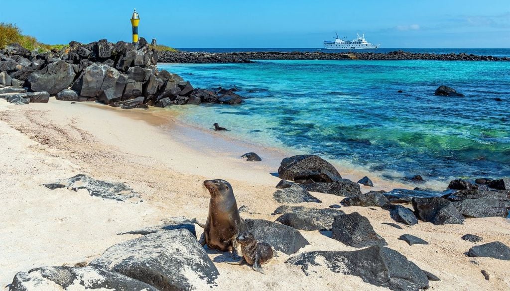 Islas Galápagos Islas Galápagos