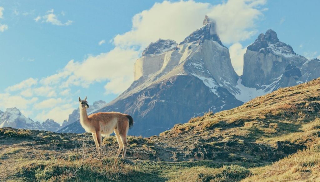 Torres del Paine Torres del Paine