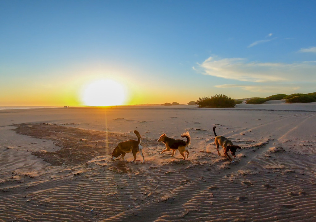 Reta, playa Buenos Aires