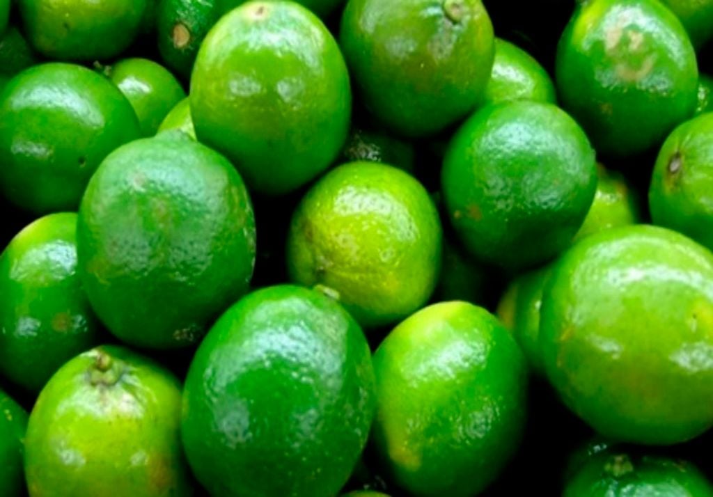 De tamaño pequeño, forma ovalada y cáscara verde a amarillo intenso, muy fina, tiene un sabor agrio, intenso y aromático. Imagen: Diario Frutícola