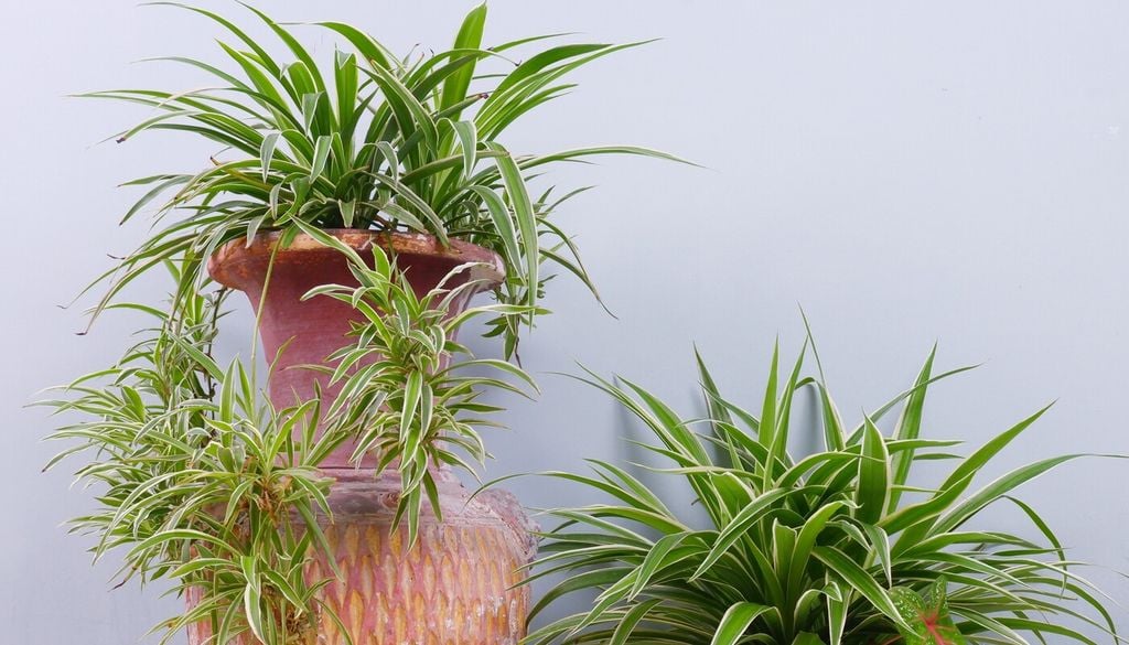 Preferire terracotta e pietra alla plastica