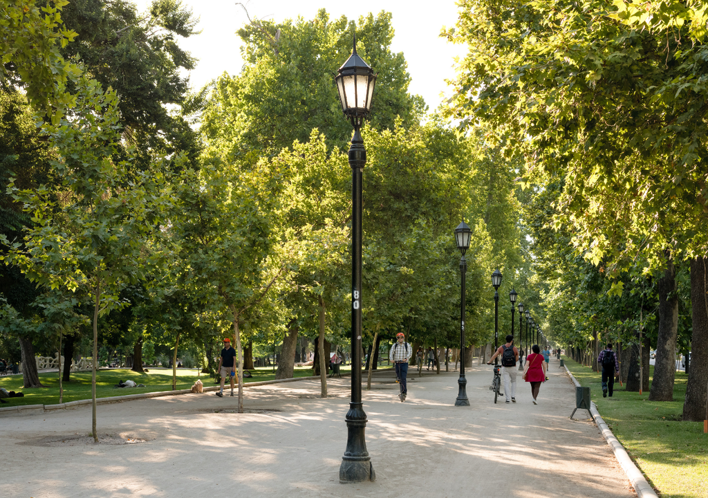 El Parque Forestal, en la Región Metropolitana, fue el primero en plantar plátanos orientales. El Parque Forestal, en la Región Metropolitana, fue el primero en plantar plátanos orientales.