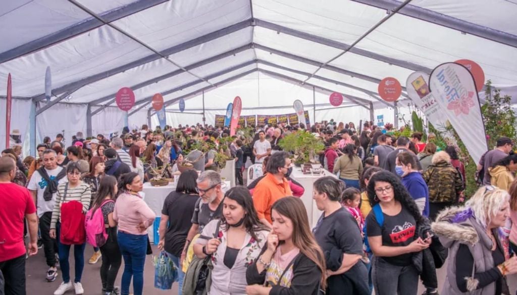 Fiesta Provincial del Plantín Floral en Moreno Fiesta Provincial del Plantín Floral en Moreno