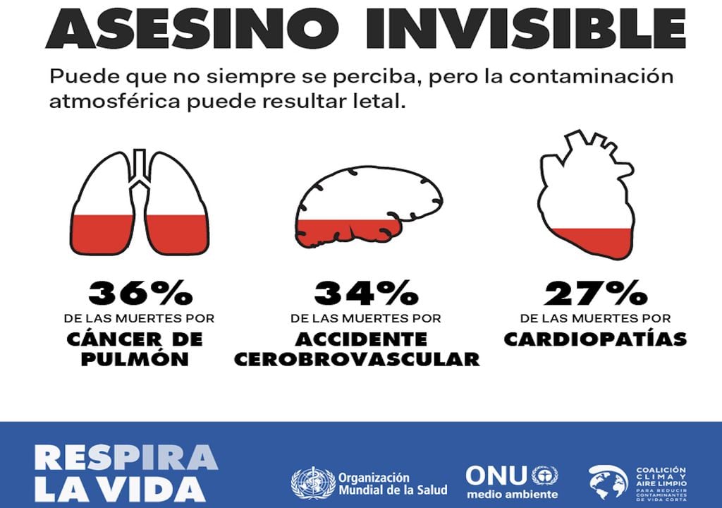 Efectos en nuestra salud Efectos en nuestra salud