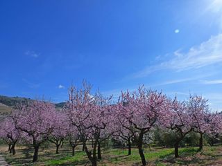Refranero climático del mes de marzo