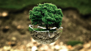 Día Mundial del Medio Ambiente