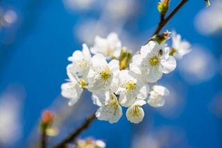 Refranero climático del mes de abril