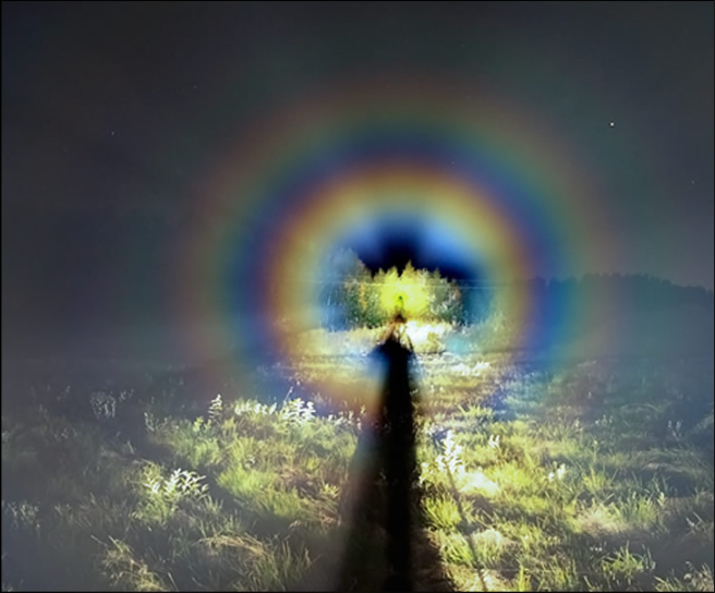 © Jari Luomanen, mostrada con permiso.