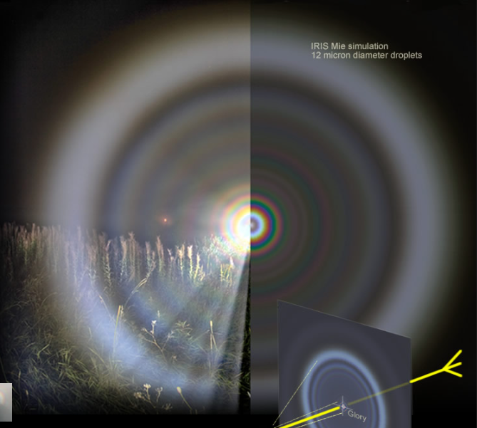 © Les Cowley, mostrada con permiso.