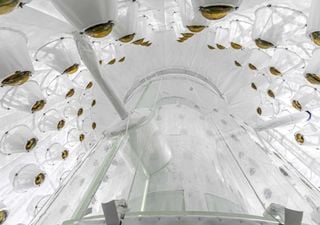 A 1.600 metros bajo tierra, más de 200 científicos intentan abrir la puerta al lado oculto del universo