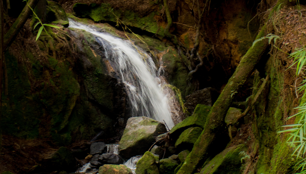 Cascada en el Parque Nacional Nonguén.