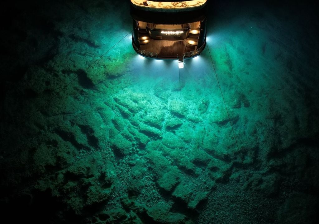 Abissi oceanici. Il campione tipo di Ferreiraella populi è stato raccolto a una profondità esatta di 5.506 metri, su una pianura abissale ricoperta da resti di tronchi affondati. Questi ecosistemi effimeri che si formano quando materiale vegetale dal mondo superficiale precipita nelle profondità, creando oasi di vita in un deserto altrimenti sterile.