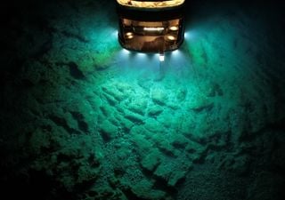 A 5.500 metri di profondit&agrave; viene scoperto un mollusco con parti del corpo ricoperte di ferro