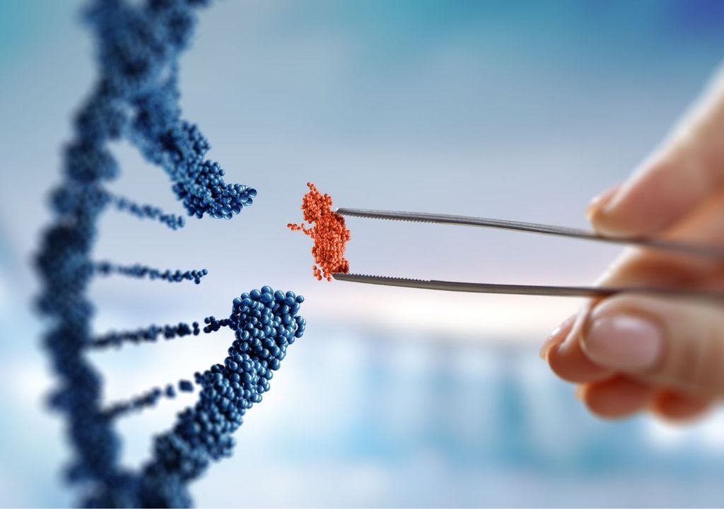 DNA - Leonardo da Vinci DNA - Leonardo da Vinci