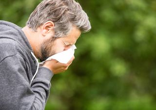 ¡A-a-a-achúúú! Pasa ligera, la maldita alergia de primavera