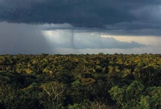 A Amaz&ocirc;nia como "f&aacute;brica de chuva" e o risco do colapso invis&iacute;vel