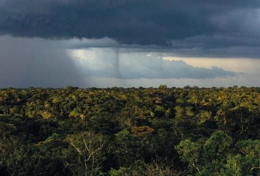 A Amaz&ocirc;nia como "f&aacute;brica de chuva" e o risco do colapso invis&iacute;vel