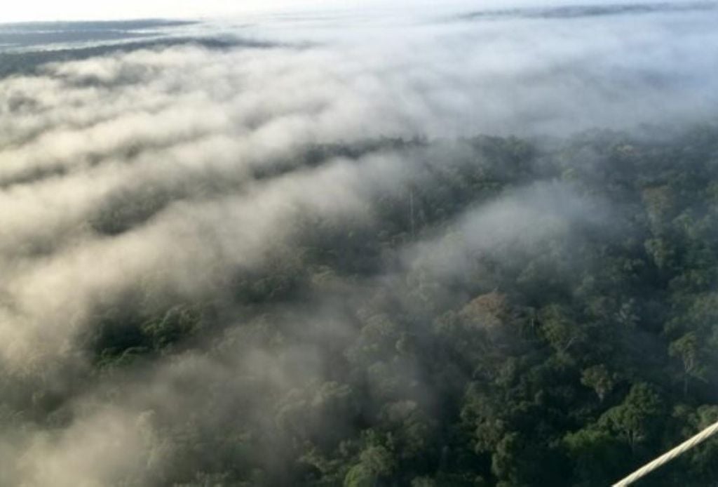 Cientistas alertam para o risco da floresta amazônica perder suas características e influência no regime de chuvas em nível nacional e global. Crédito: Revista Amazônia