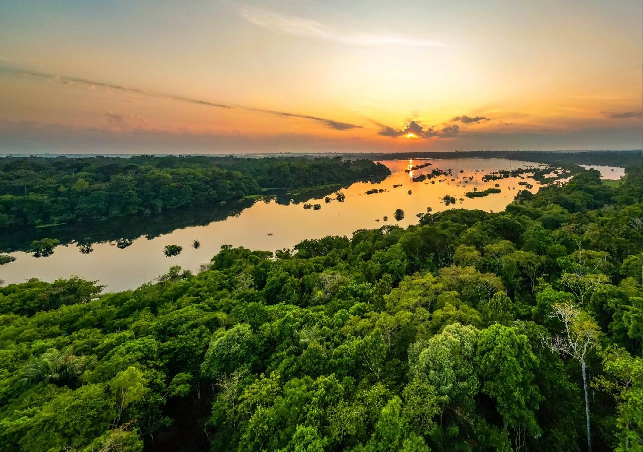 La Amazonía cubre aproximadamente 7 millones de kilómetros cuadrados y se extiende por nueve países, de los cuales aproximadamente el 60% se encuentra en Brasil.