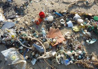 A ameaça dos plásticos nos oceanos