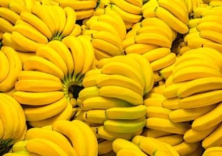 A banana consolida-se como o fruto mais consumido na Europa