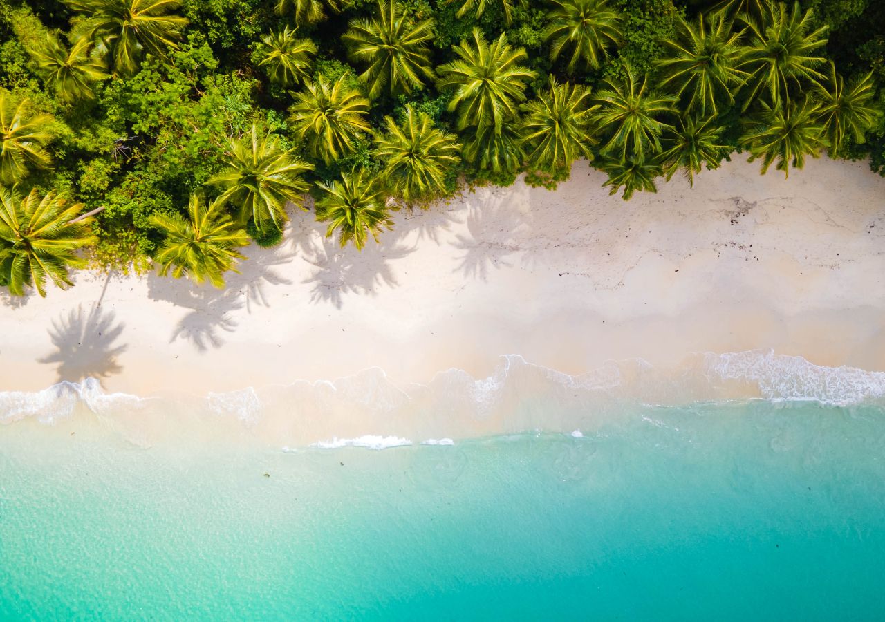 Nicole scherzinger fakes that UTF, is maybe the ultimate