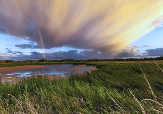 A biodiversidade no santuário de águas de Rieselfelder Münster