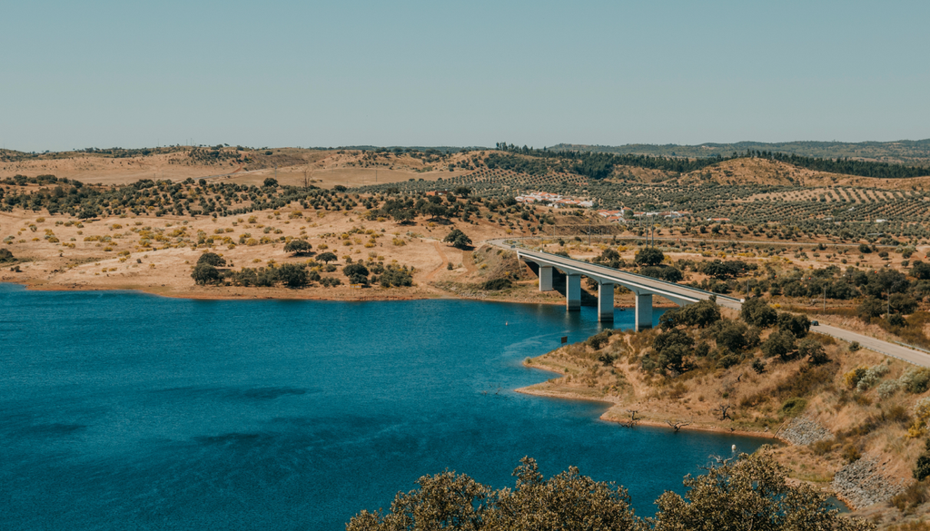 As barragens funcionam como autênticos ímanes de invasões, criando águas estáveis que favorecem peixes exóticos face às espécies nativas.