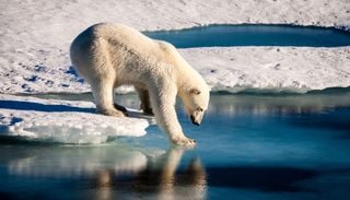 A "Cold Blob" in the North Atlantic May Reveal Weakening Ocean Currents