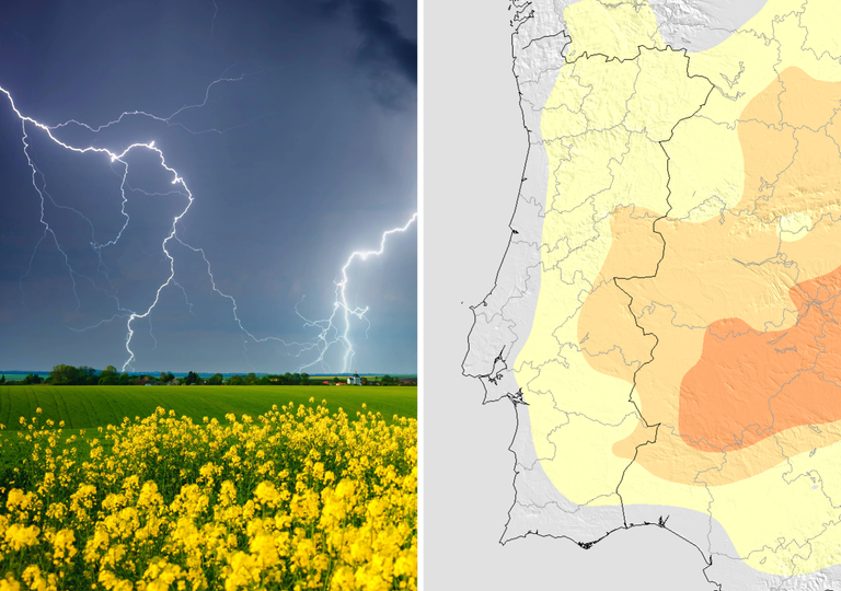 A corrida para o calor de ver&atilde;o ter&aacute; in&iacute;cio na segunda quinzena de maio, segundo o modelo europeu