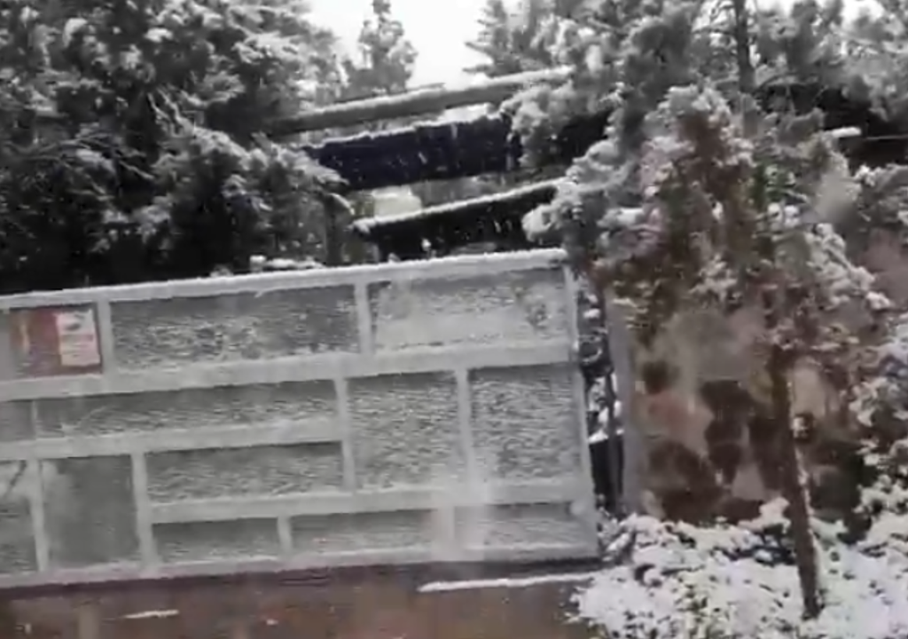 Nieve en Mendoza Parques, calles y paisajes del Gran Mendoza se vieron cubiertos por la nieve a primera hora del sábado. Foto: X @MarceloOrtizTV