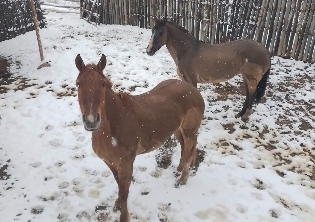 Nieve en San Juan En Pedernal, San Juan, también la nueve se convirtió en un espectáculo. Foto: Facebook Radio Sports FM 89.9 San Juan