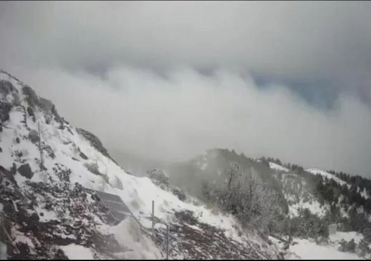 Se tiño de blanco el suelo, dejando impresionantes paisajes. Cortesía: informador.mx / UEPCyBJ
