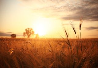 A dry and sunny week for western Britain but cloudy elsewhere