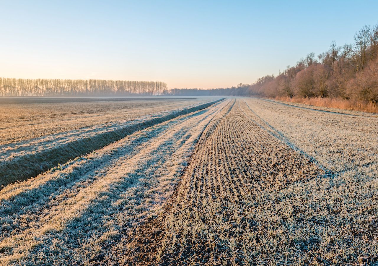 Cold weather and frost forecast for UK this week as conditions turn drier