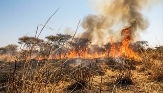 A &eacute;poca de inc&ecirc;ndios florestais em &Aacute;frica est&aacute; a tornar-se mais curta. Saiba porqu&ecirc;