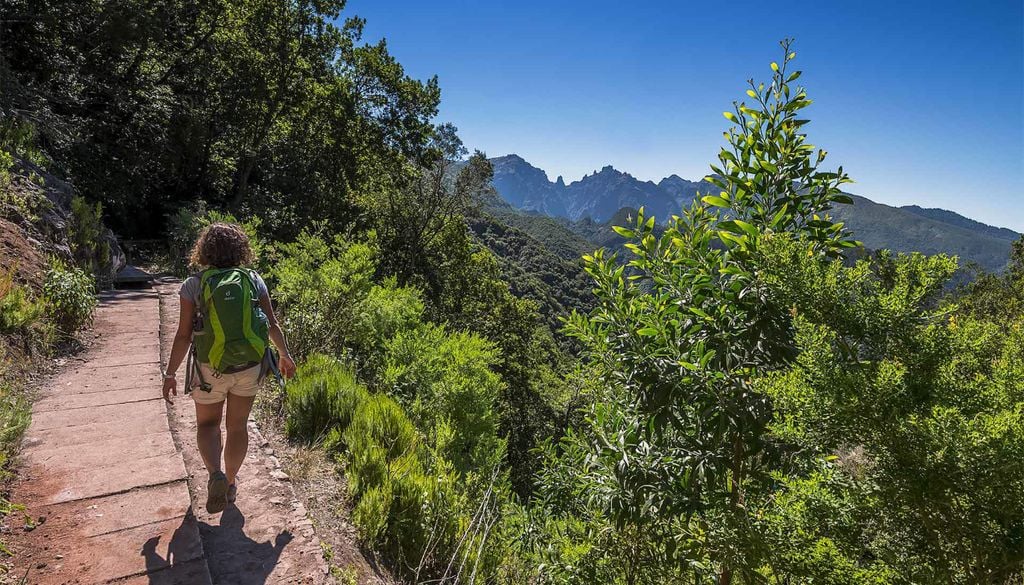 Madeira É um dos "percursos pedestres mais emblemáticos da Região." Foto: Visit Madeira