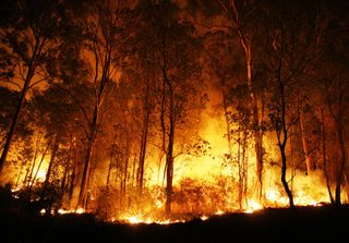 A evolução dos Incêndios em Portugal