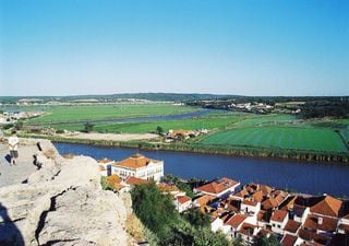 A excessiva extração de água reduziu a capacidade de armazenamento do aquífero de Alcácer do Sal