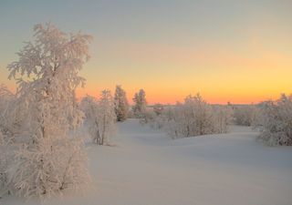 Meteo, come sarà il mese di gennaio in Italia: possibili importanti ondate di freddo? Questo è ciò che dicono i modelli