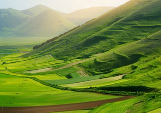 A giugno la natura esplode in questo angolo nascosto d’Italia: perfetto per chi cerca pace e paesaggi