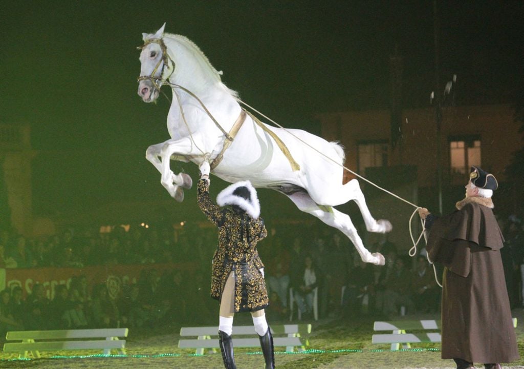 Feira da Golegã Feira da Golegã