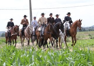 A Golegã volta a ser a capital do cavalo: a maior festa do cavalo de Portugal está de regresso ao Ribatejo