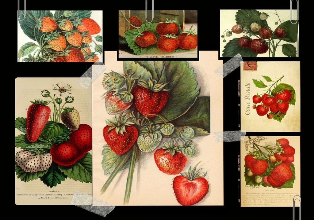 mosaico de pinturas com morangos mosaico de pinturas com morangos