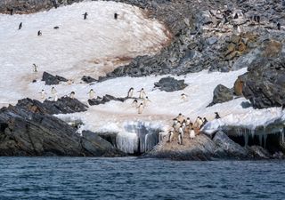 A implacável Crise Climática