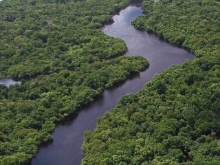 A importância da Amazônia na umidade do Brasil