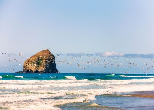 A la conquête de Cape Kiwanda, une dune de sable géante dans l'Oregon